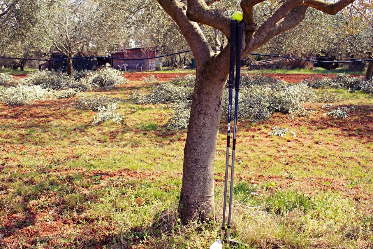 Blue Deer Leilighet Umag Eksteriør bilde