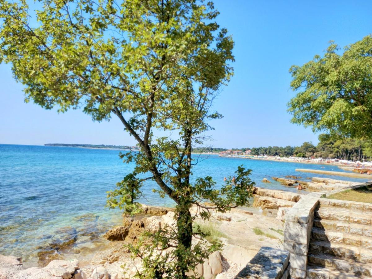 Blue Deer Leilighet Umag Eksteriør bilde
