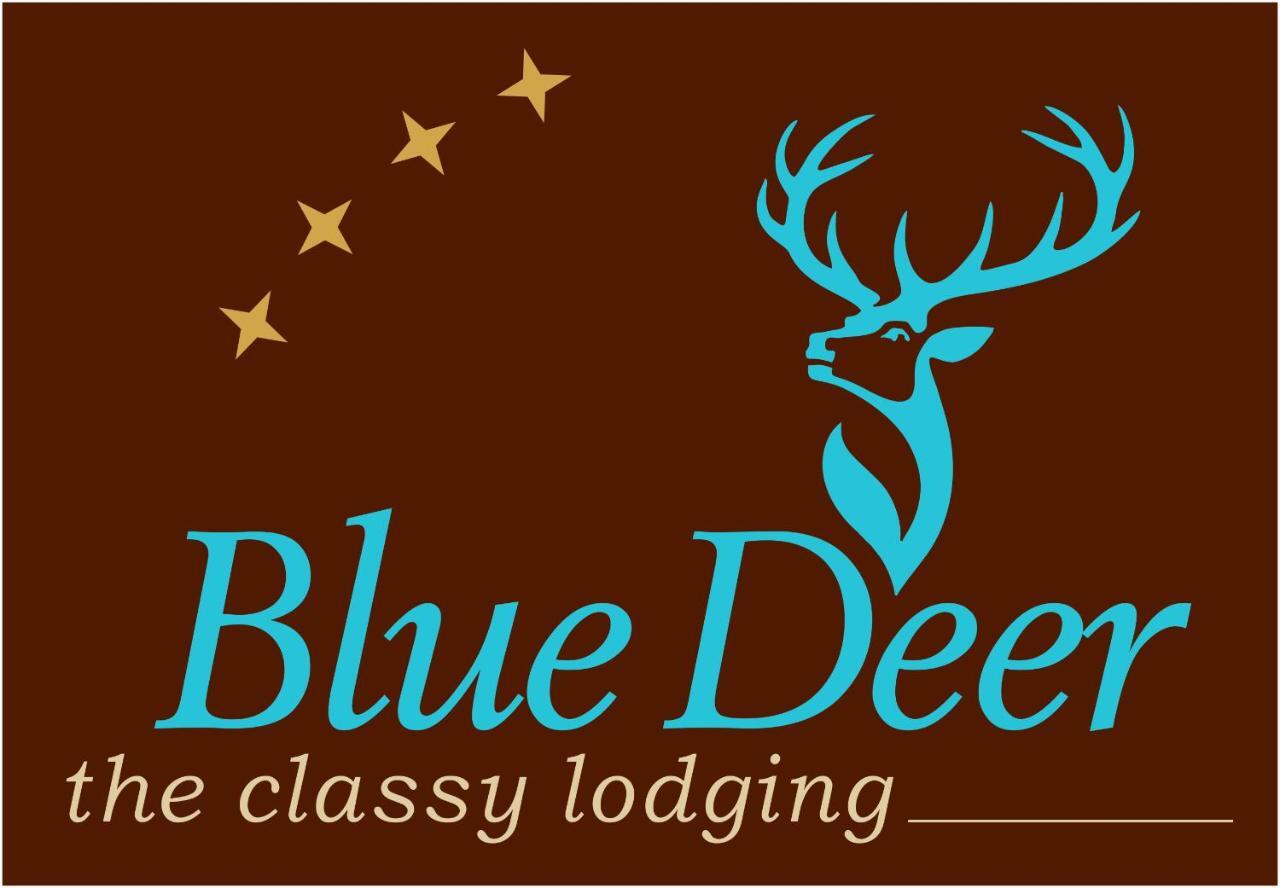 Blue Deer Leilighet Umag Eksteriør bilde